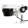Loupe binoculaire LABS S10-60 - 10 à 60x
