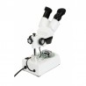 Loupe binoculaire LABS S10-60 - 10 à 60x