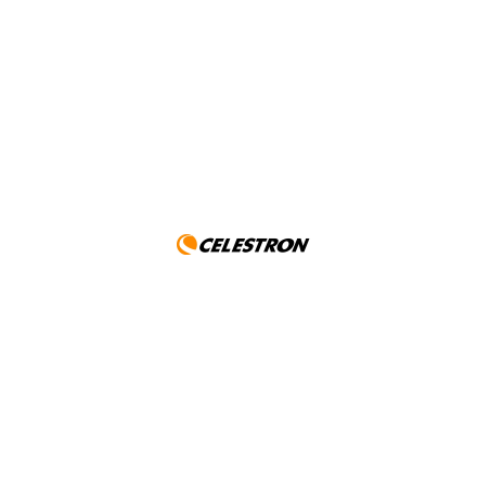 PERL